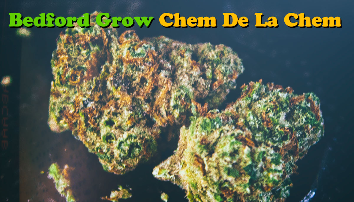 Bedford Grow Chem de la Chem