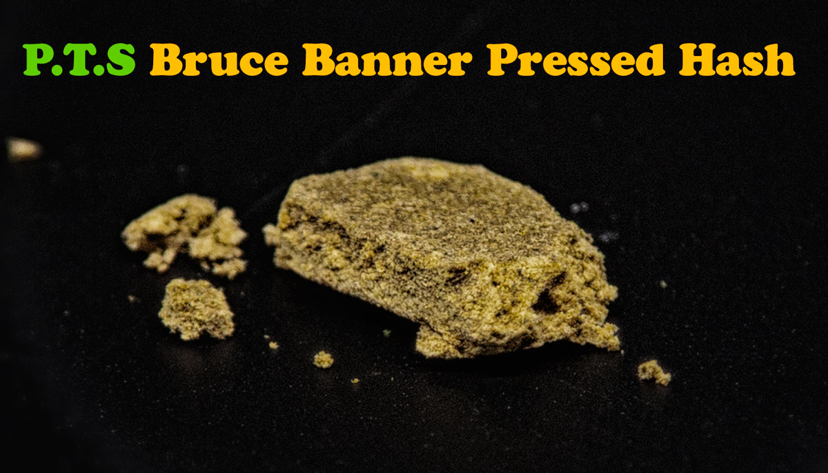 PTS Bruce Banner Pressed Hash Review